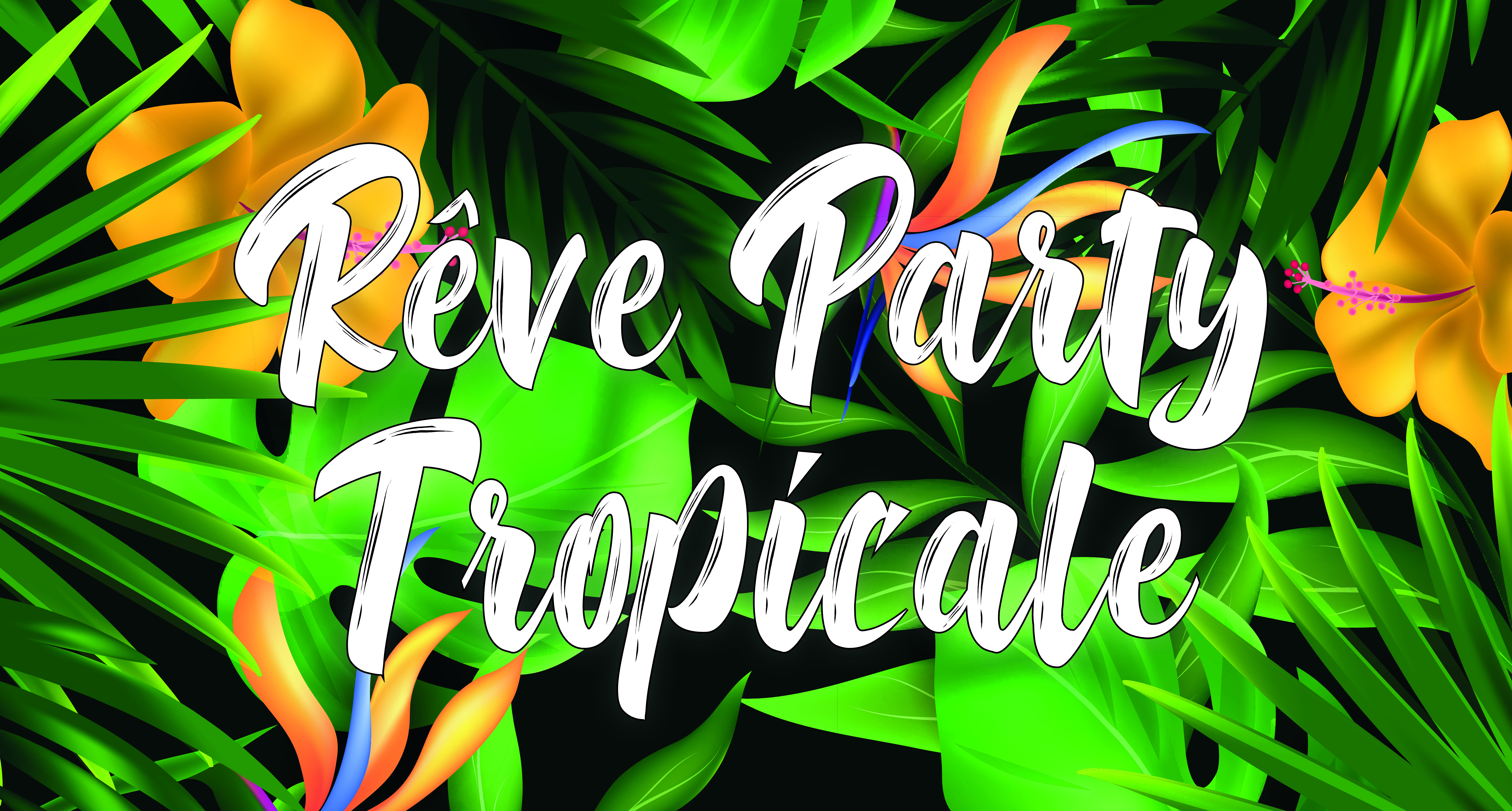 30/03 - Rêve Party Tropicale – Mix’Arts + Un Tramway Nommé Culture